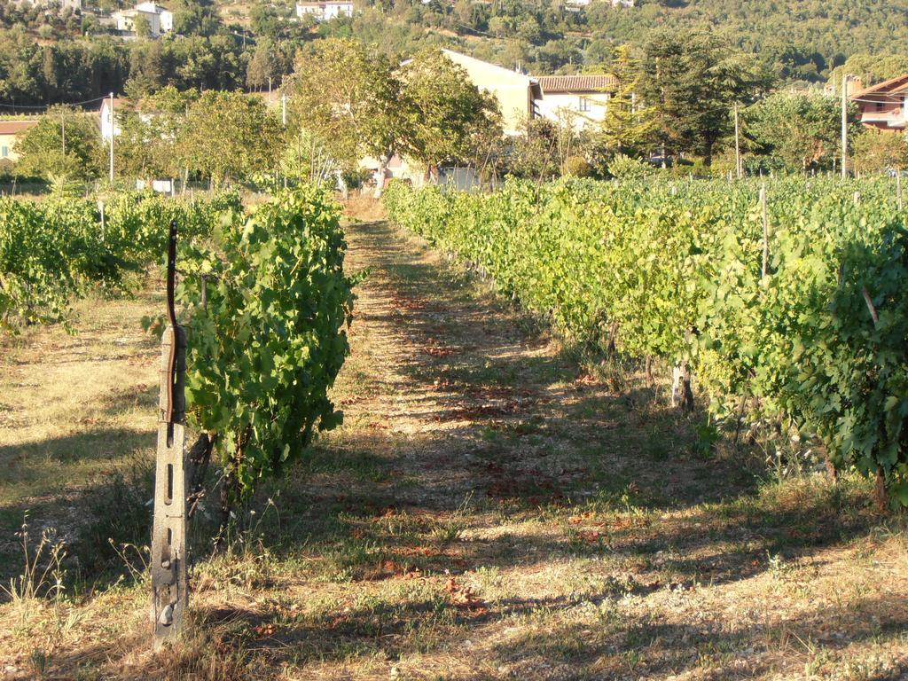 Agriturismo Ponte Di Riocchio Gubbio Exterior photo